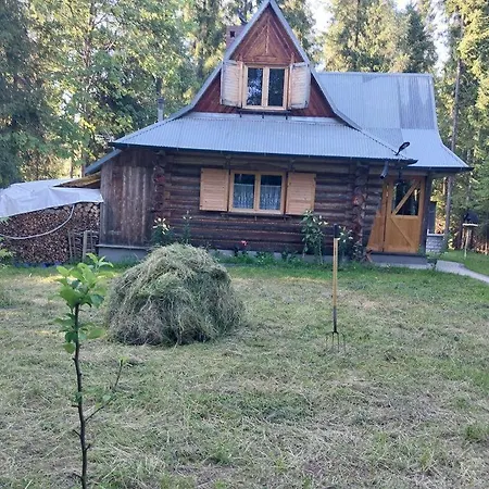 Oaza Дом отдыха *